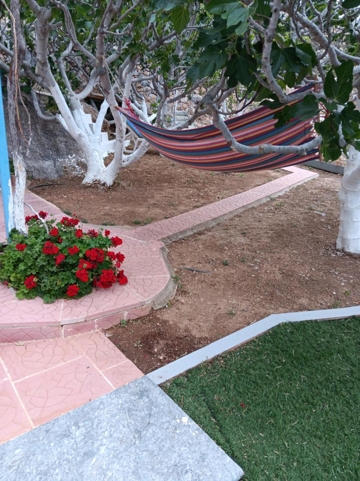 Villa Anna Skalia ภายนอก รูปภาพ